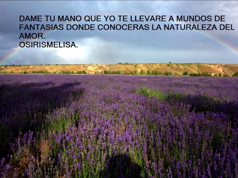 OSIRISMELISASENTIMIENTOS-31