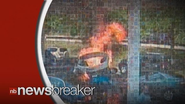 Officer Heroically Saves Man Who Accidentally Crashes Car; Blows Up Gas Station