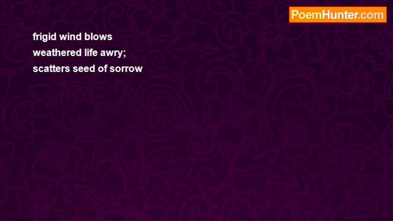 Kenneth Snow - haiku