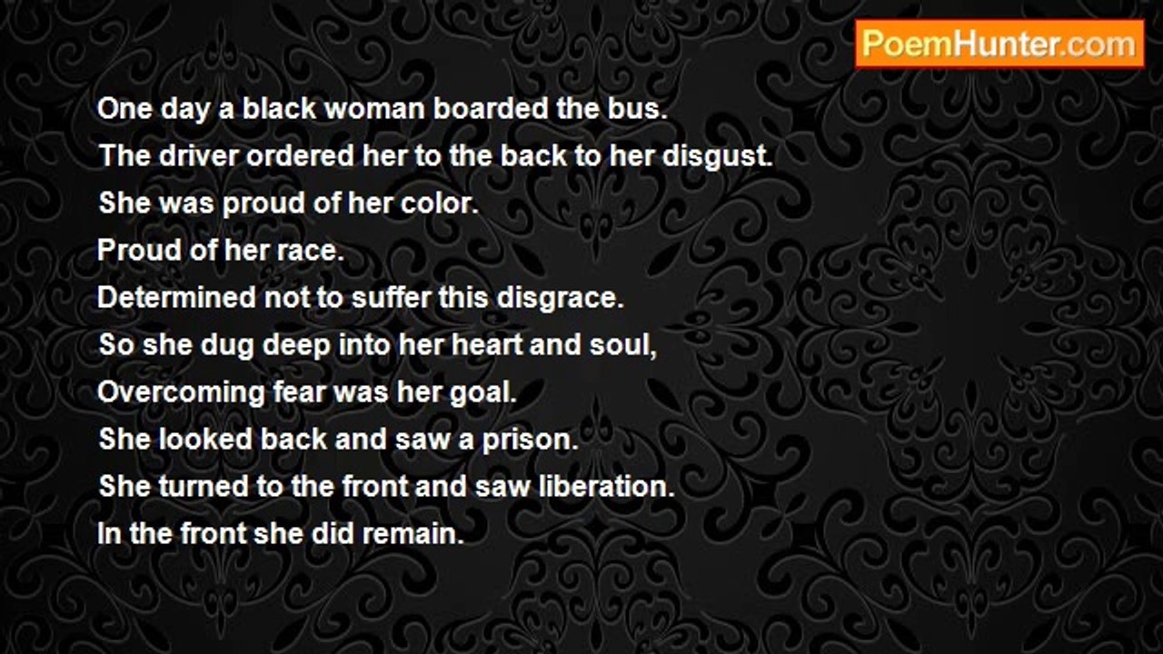 Jeff Fleischer - Rosa Parks