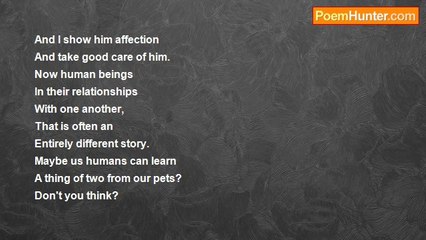 Jeff Fleischer - Pets Do Not Discriminate