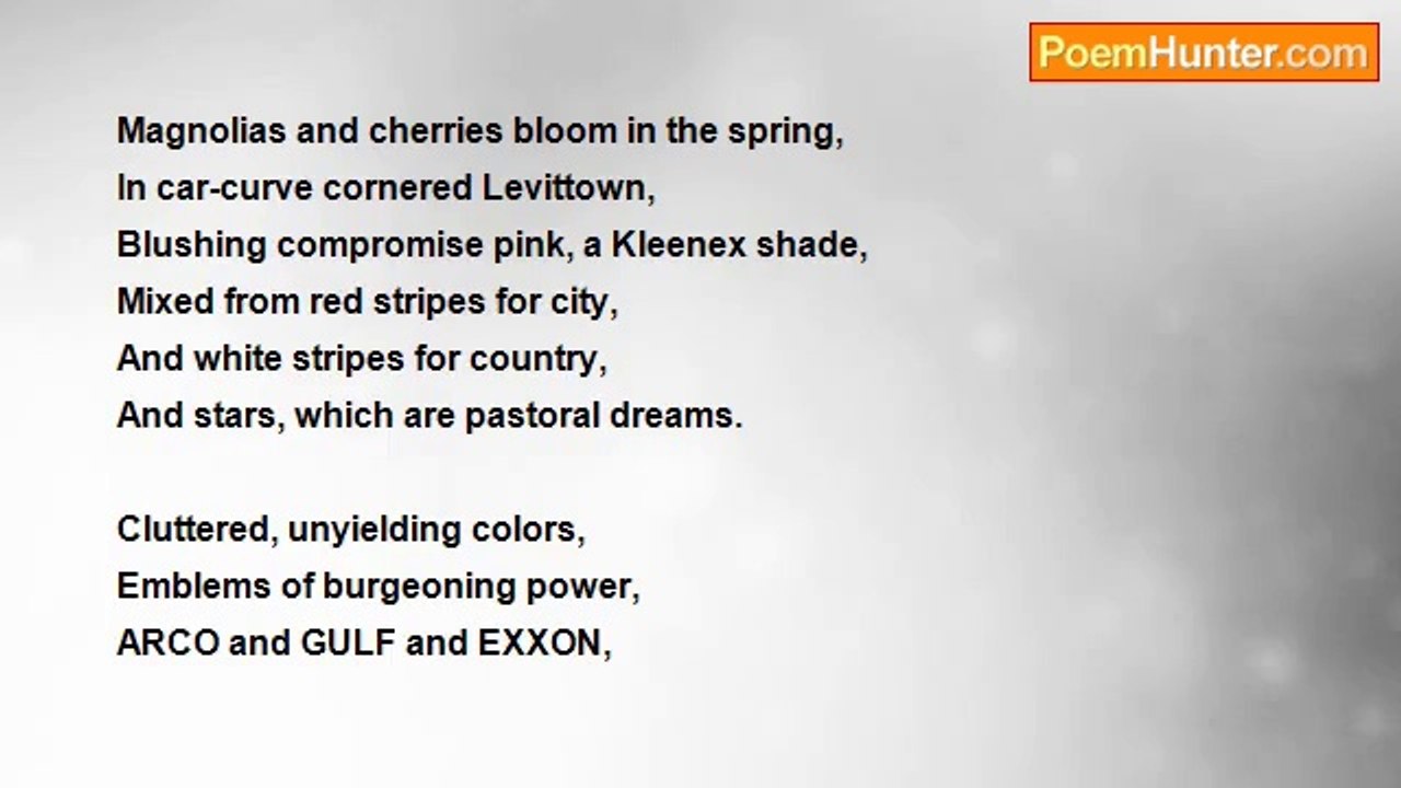 Stewart McKenzie - Polemic 02  Fuel Fossils