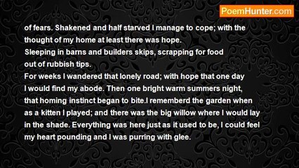 sylvia spencer - Plight of a Stray