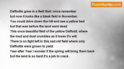 sylvia spencer - A Field to Remember