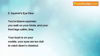 Richard George - A Squirrel Sextet