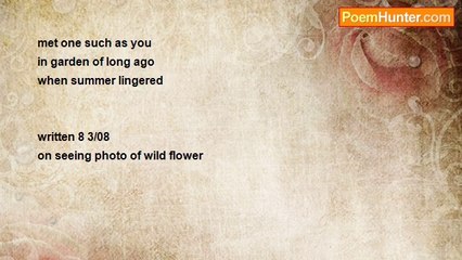 Dorothy (Alves) Holmes - #333 Haiku   Summer Lingered