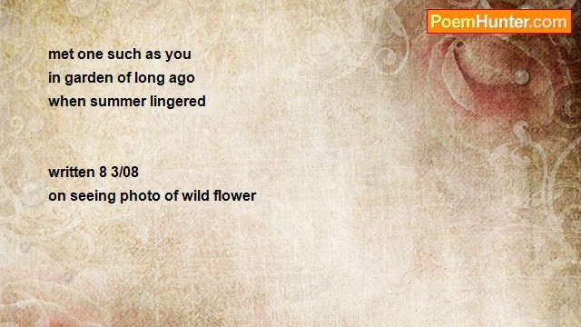 Dorothy (Alves) Holmes - #333 Haiku Summer Lingered