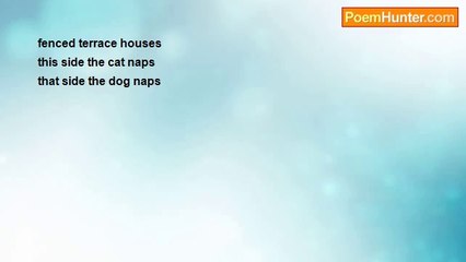 john tiong chunghoo - Haiku - taking a nap