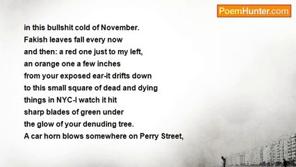 Jeffery Conway - Here Among the Leaves