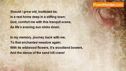 Wildwood Slim - Dance with the Sand Hill Cranes