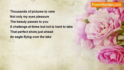 Candy Transcends - Their  flight my fantasy