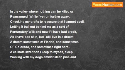 Robert Rorabeck - The Malingering of Your Perfumes In My Dysfunctioning Soul