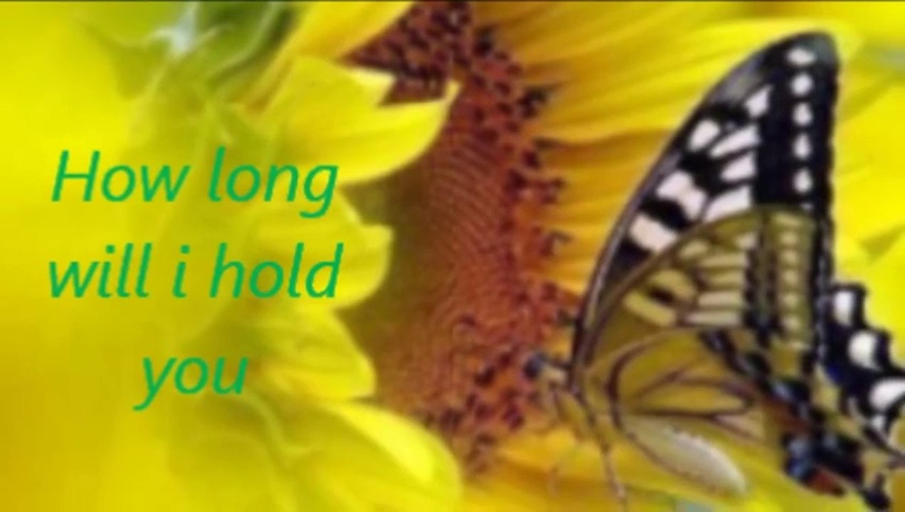 Ellie Goulding How long will i love you
