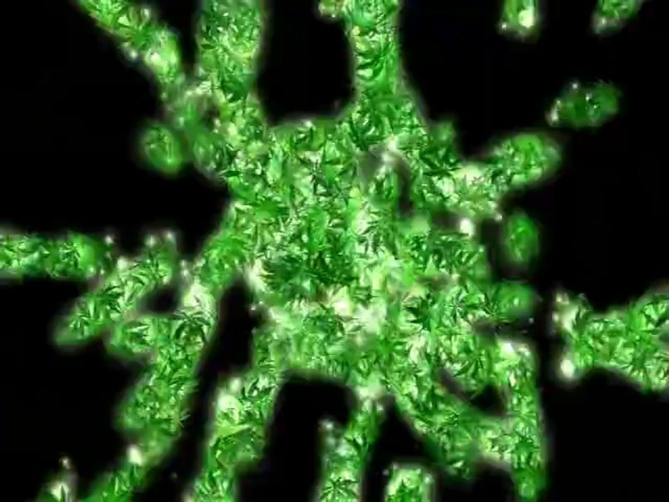 Free marijuana video design elements