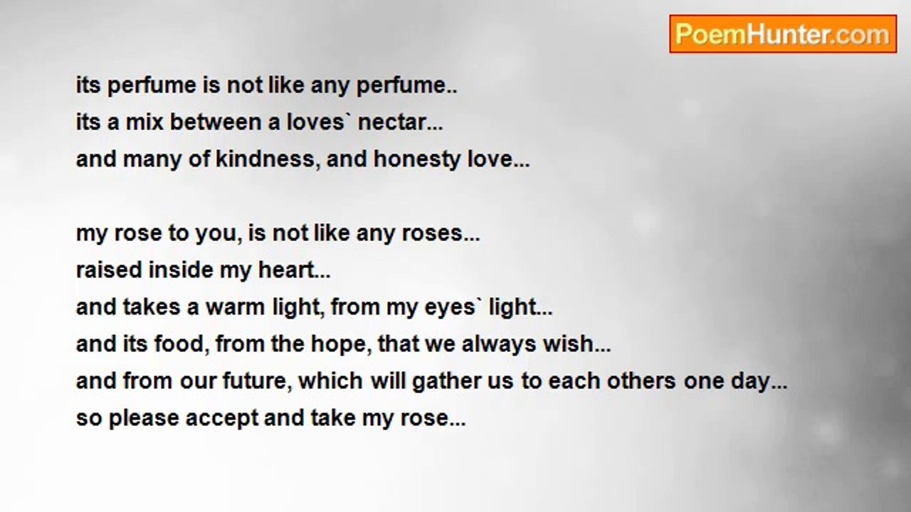 hazem al jaber - MY ROSE...