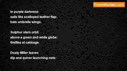 William F Dougherty - Three More Haiku