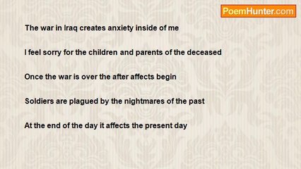 Lee John Siebritz - The War in Iraq