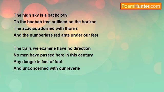 Frank Bana - Dreams in Africa