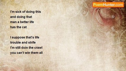 David Darbyshire - Perform