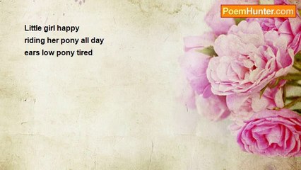 David Darbyshire - Pony (haiku)