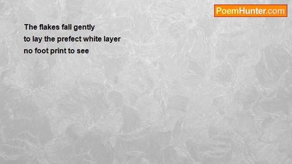 David Darbyshire - Snow 'haiku'