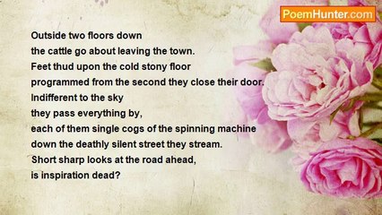 Not Long Left - Lambs to the slaughter