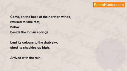 Not Long Left - The Journey of the unknown