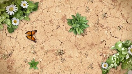 Land Services Calgary