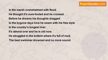 nimal dunuhinga - Drubbed in swamp