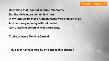 nimal dunuhinga - One Man's Dog?