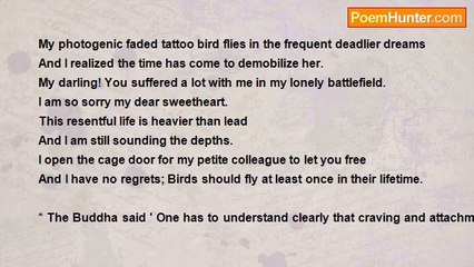 nimal dunuhinga - A domesticate little sparrow