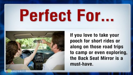 The Back Seat Mirror Goes to the Dogs