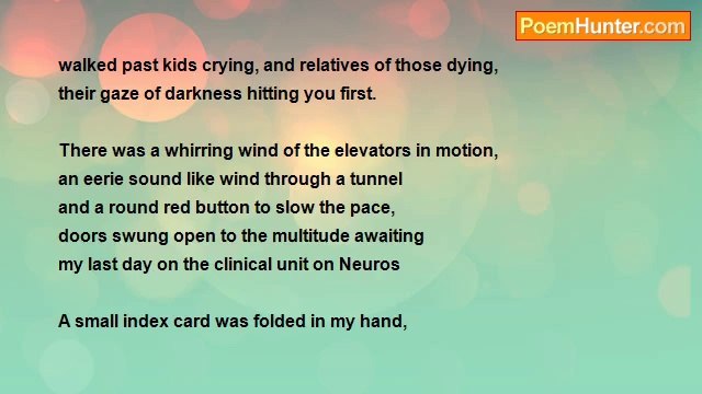 Louise Marie DelSanto - Beyond the Revolving Doors/Rhode Island Hospital,1998