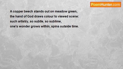 Jonathan ROBIN - Wonder