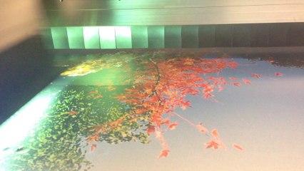 Barisol / Gergi Tavan Baskı