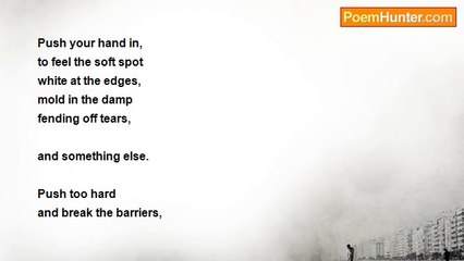 Ayn Timmerman - Blighted