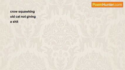 Richard Terrify - Crow squawking (haiku)