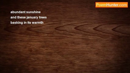 Richard Terrify - Abundant sunshine (traditional haiku)