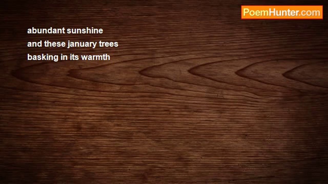 Richard Terrify - Abundant sunshine (traditiona...