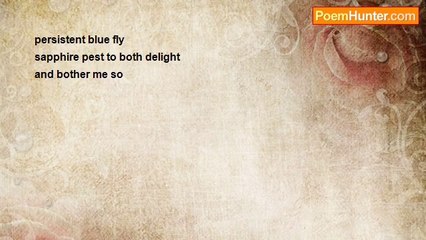 Richard Terrify - persistent blue fly (haiku)