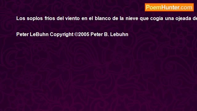 Peter LeBuhn - My Latina Rose(Spanish)