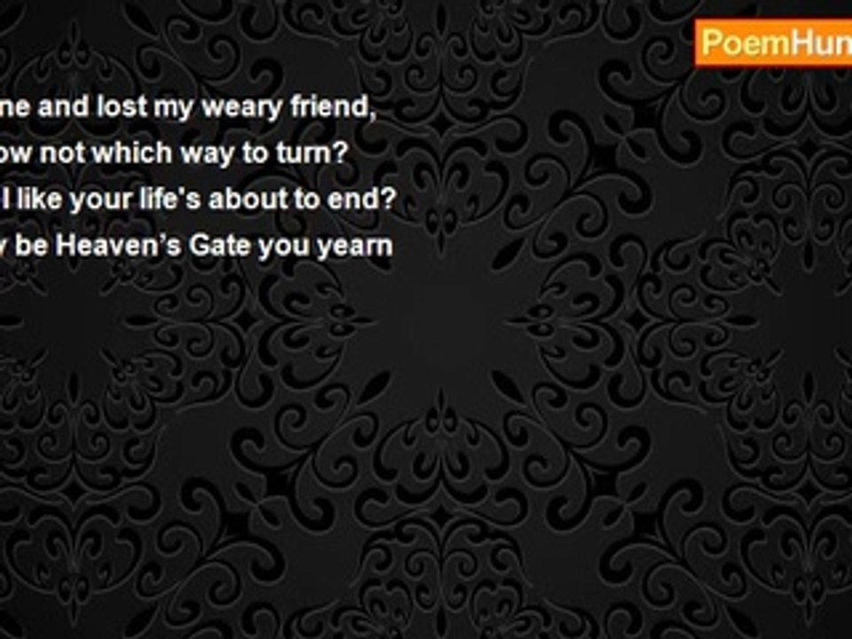 Ray Lucero - Angels Know the Way