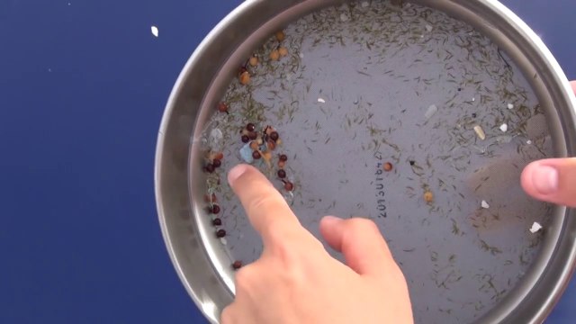 7e Continent : retour d'expédition