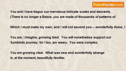 Walt Ostrander - Concerning Our Weary Limbs