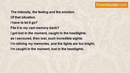 Dan Brown - Caught In The Moment, Lost In The Headlights