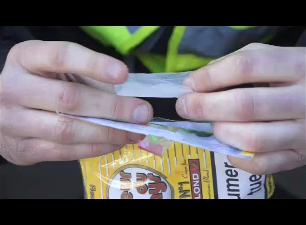 Les Ordures (PAL DV)