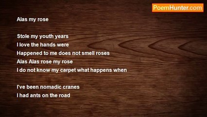 sabit ince - Alas my Rose