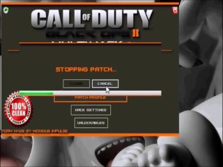 Call of Duty Black Ops 2- Multi Hack (Prestige, Level..)