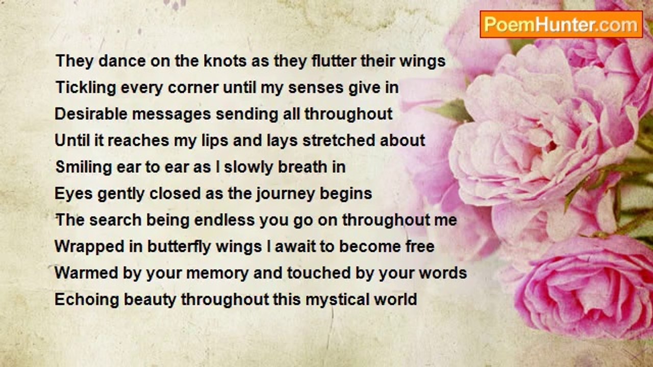 Villie Beebs - Wrapped in butterfly wings