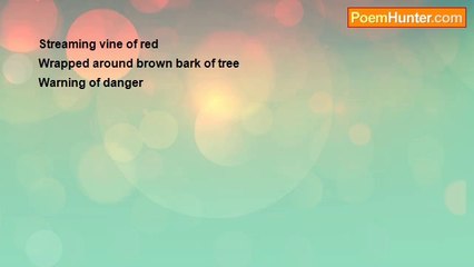 Denise Girod - Haiku #17 Poison Ivy